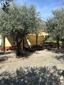 a yellow house with a picnic table and two trees at L'Ulivo in Formia