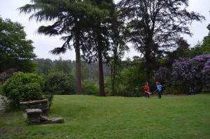 two people walking in a field with trees and flowers at The Old Cook's House in Hindhead