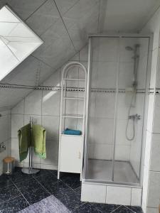 a shower with a glass door in a bathroom at Ferienwohnung Wiener in Marchtring +5 photos
