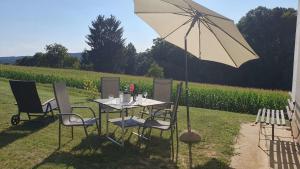 a table and chairs with an umbrella in a field at Ferienwohnung Wiener in Marchtring