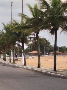Une rangée de palmiers sur la plage dans l'établissement Quitinete -Tamoios - Cabo Frio, à Barra de São João