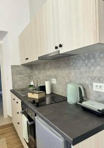 a kitchen with a sink and a counter top at House Katholiki in Halki