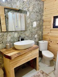 a bathroom with a sink and a toilet at A&R cottages in Vusanje