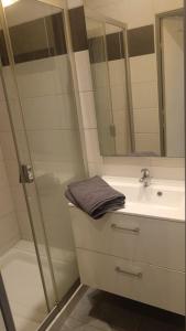 a bathroom with a sink and a shower at L horizon bleu in Mulhouse +5 photos