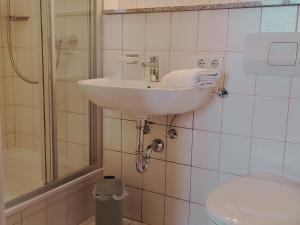 a bathroom with a sink and a toilet at Haiderhof in Schleching