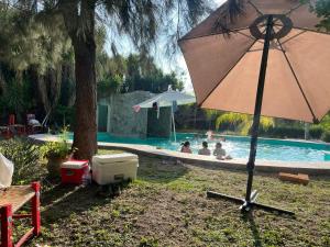 an umbrella sitting in the grass near a swimming pool at Hotel Posada La Catrina in Ciudad Fernández