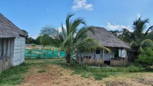 two houses with thatched roofs and a palm tree at Cabana Coral Reef in Mandapam