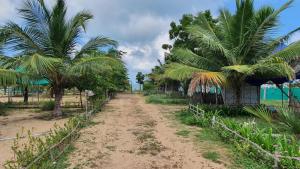 a dirt road in front of palm trees at Cabana Coral Reef in Mandapam