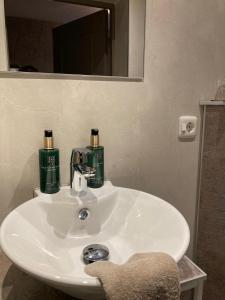a bathroom sink with two bottles on top of it at De La Frontière Bed & Borrelbistro in Slenaken