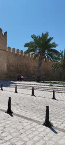 a stone courtyard with a wall and a palm tree at Appartement 24 in Sousse