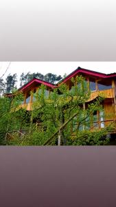 a wooden house with a tree in front of it at Top Mountain Mist Near Jibhi in Banjār