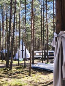 a tent in the woods with a trailer and trees at Zew Natury in Broda