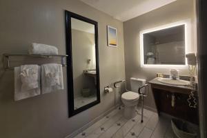 a bathroom with a sink and a toilet and a mirror at OYO Hampton South Carolina Hwy 278 in Hampton-Varnville Airport +37 photos