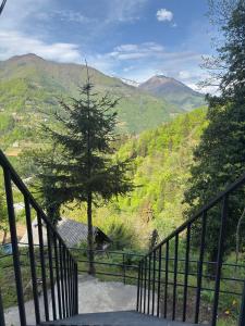 Peisaj natural din apropierea acestei case de vacanță +16 fotografii