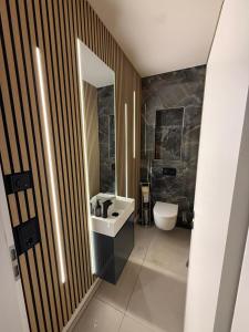 a bathroom with a sink and a toilet and a mirror at Design-Villa mit privatem Whirlpool&Naturblick in Wellheim