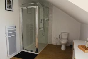 a bathroom with a shower and a toilet at Domaine la Héroïca in Maisonnais +27 photos
