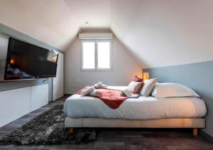 a bedroom with a bed and a flat screen tv at Le Patio - à 20 minutes d'Europa-Park in Rhinau +14 photos