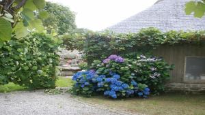 a garden with purple and blue flowers on a fence at Gîte des Oiseaux in Bieuzy-les Eaux