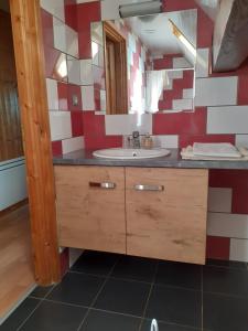 a bathroom with a sink and a mirror at Chambres IM-BERG in Metzeral