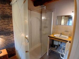 a bathroom with a shower and a sink at Le Coudi in Saint-Pierre-le-Chastel