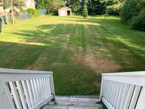 a large yard with a white picket fence and a field at The Smith - Renovated 4 Bedroom in Bloomfield