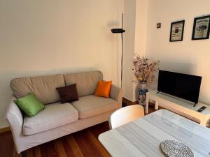 a living room with a couch and a television at Limonta, Fiori e Lago Private Apartment in Limonta