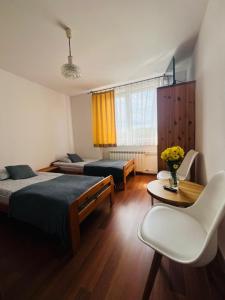 a bedroom with a bed and a table and a chair at Amonit 35 in Podlesice