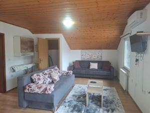 a living room with a couch and a table at Amina River Apartment in Bihać