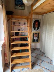 a ladder in a room with a cat house at Cat Stone in Pisz