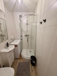 a bathroom with a shower and a toilet and a sink at Muranów Rooms Warsaw in Warsaw