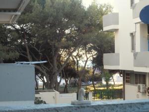The building in which Az apartmant is located