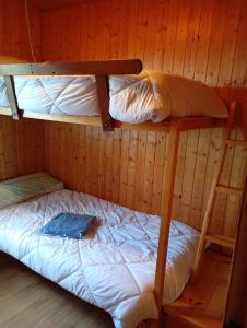 a bunk bed in a cabin with a ladder at Casa Carballar in Oia