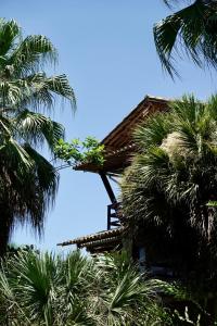 a building with palm trees in front of the sky at Santa Clara Hotel in Paraty