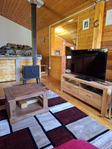 a living room with a large flat screen tv at Cabana trenulețelor in Lunca Mare