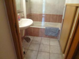 a bathroom with a shower and a sink and a tub at Gîte des Oiseaux in Bieuzy-les Eaux