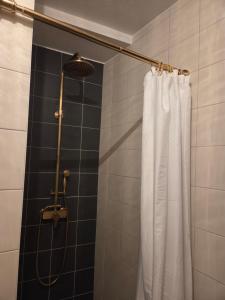 a shower with a white shower curtain in a bathroom at Apartment 2 im Martinsgarten Angermünde in Angermünde +7 photos