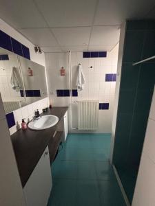 a bathroom with a sink and a shower at Cozy place in Stará Ľubovňa