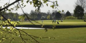 a group of people playing golf in a park at Ambiance in Zierikzee