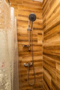 a shower in a bathroom with a wooden wall at Apartman Goga 2 in Veliko Gradište +16 photos