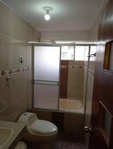 a bathroom with a toilet and a shower and a sink at Cozy Apartment in PUNO in Puno