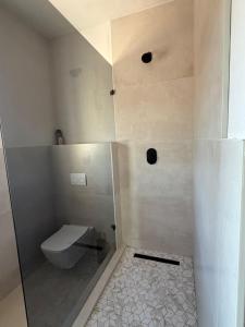 a bathroom with a toilet and a shower at Vue de Valleé in Wellington
