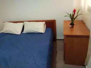 a bedroom with a blue bed with a desk and a potted plant at Moon e Sky in Tirana +9 photos