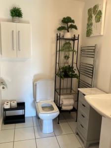 a bathroom with a toilet and plants on a shelf at The Garden Rooms in Spittal +19 photos