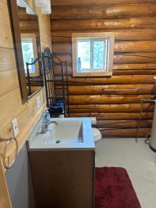 a bathroom with a sink and a wooden wall at Modern studio Cabin in Tok