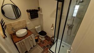a bathroom with a toilet and a sink and a shower at Gite Le Cozy in Val-au-Perche +28 photos