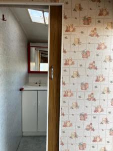 a bathroom with a sink and a mirror at Retro stekje in Nieuwerkerk