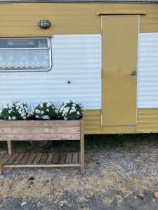 a trailer with two plants on the side of it at Retro stekje in Nieuwerkerk