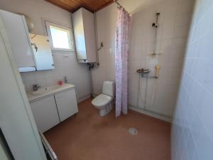 a bathroom with a toilet and a sink and a shower at Virsun majoitus in Ikkeläjärvi