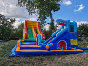 a inflatable play structure in the grass at Pensiunea Solo in Dretea