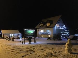 a house with christmas lights in the snow at night at Agroturystyka Leśny Zakątek in Stryszawa